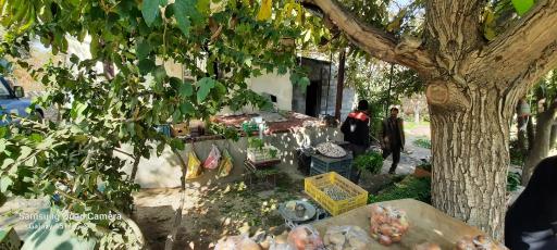 عکس باغ سبزی فرهادی