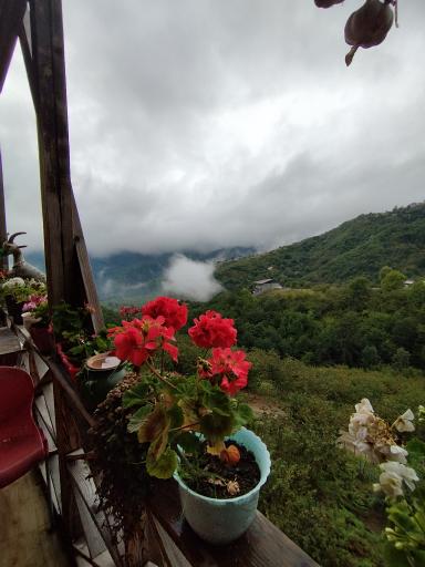 عکس کافه رستوران نیکان