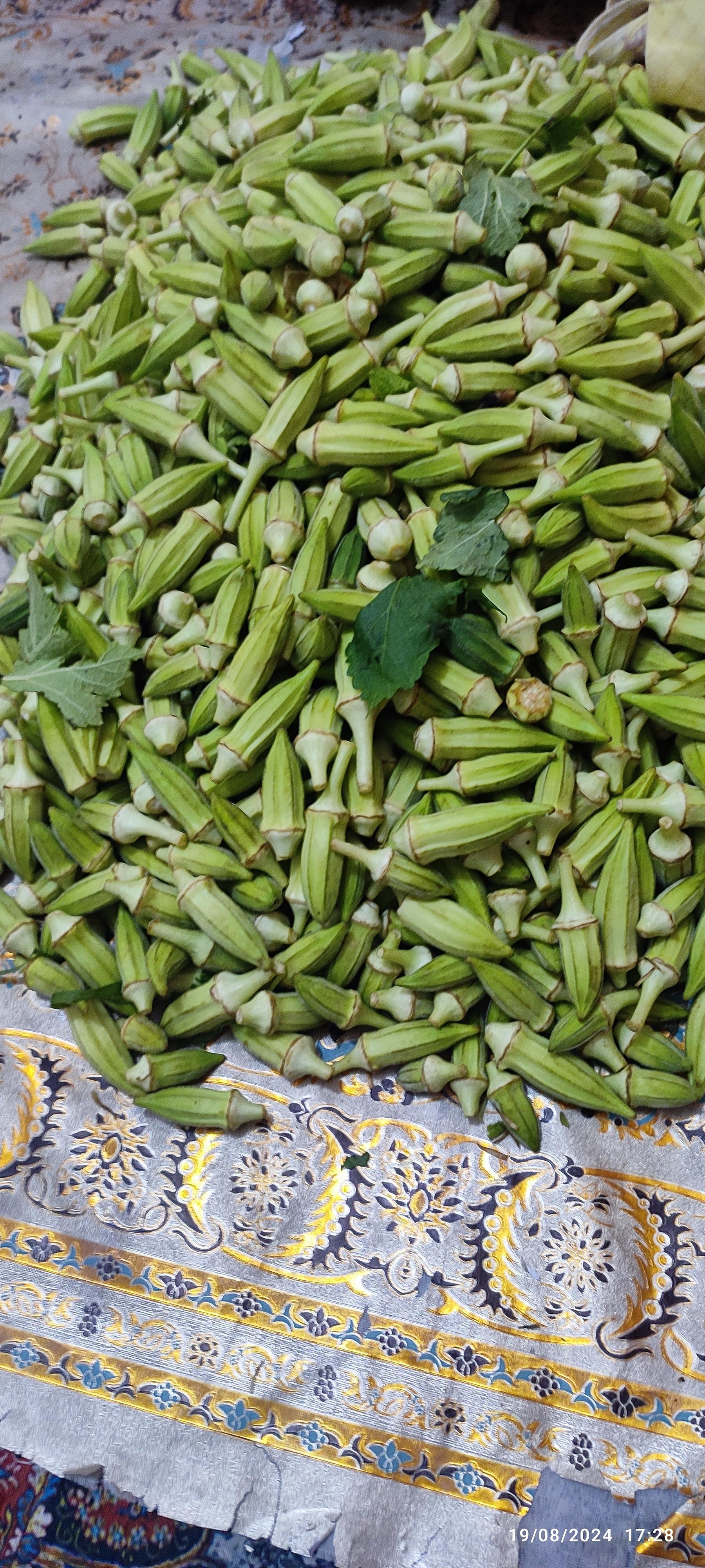 عکس میوه سرای محله