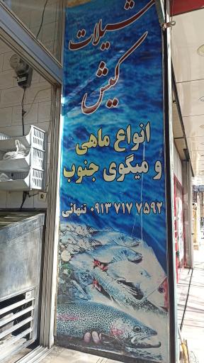 عکس شیلات کیش