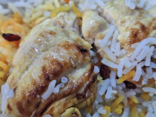 عکس کترینگ وکباب صدف