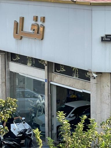 عکس اتو گالری نخل