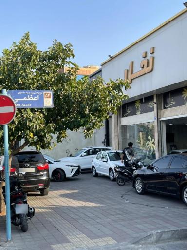 عکس اتو گالری نخل