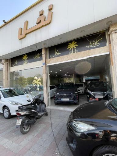 عکس اتو گالری نخل