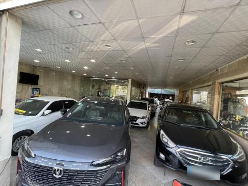 عکس اتو گالری نخل