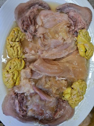 عکس کله پاچه بامداد