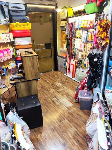 عکس پت شاپ جردن