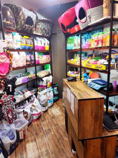 عکس پت شاپ جردن