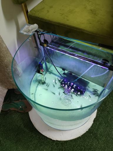 عکس مرکز اسپا پزشکی نازلی قلندری