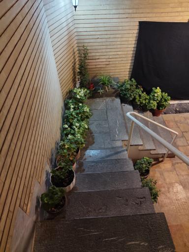 عکس مسجد امام حسن عسکری (ع)