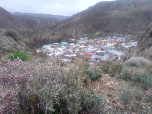 عکس هرانده