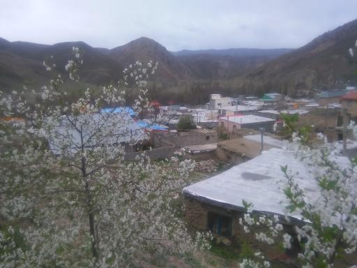 عکس هرانده