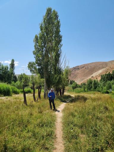 عکس هرانده