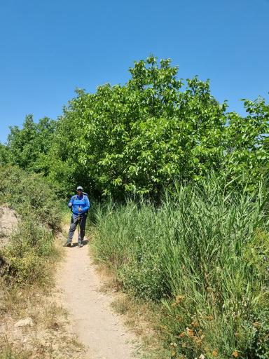 عکس هرانده
