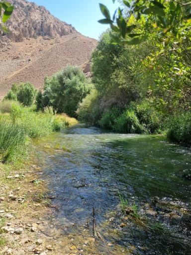 عکس هرانده