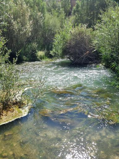 عکس هرانده