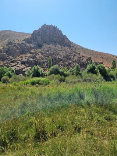 عکس هرانده