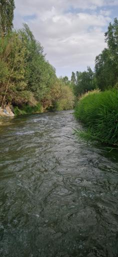 عکس هرانده