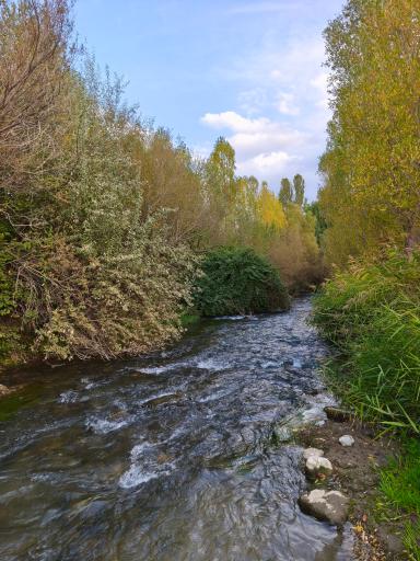 عکس هرانده