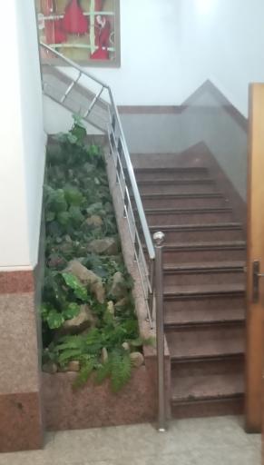 عکس تالار پذیرایی خضراء