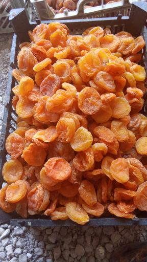 عکس میدان خشکبار صبح خیز