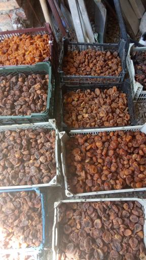 عکس میدان خشکبار صبح خیز