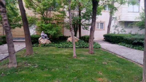 عکس پارک میخک