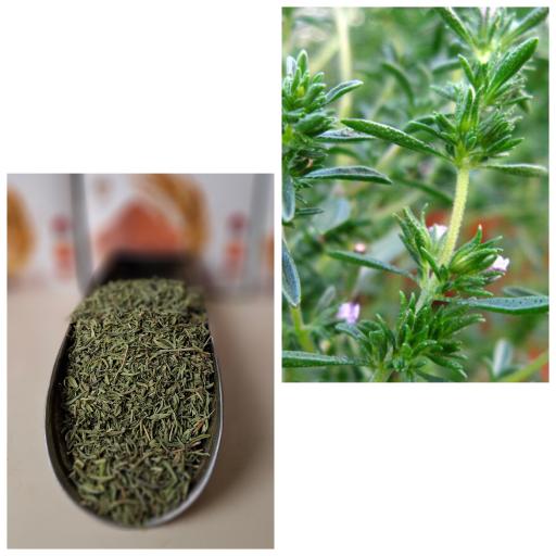 عکس عطاری قربانی