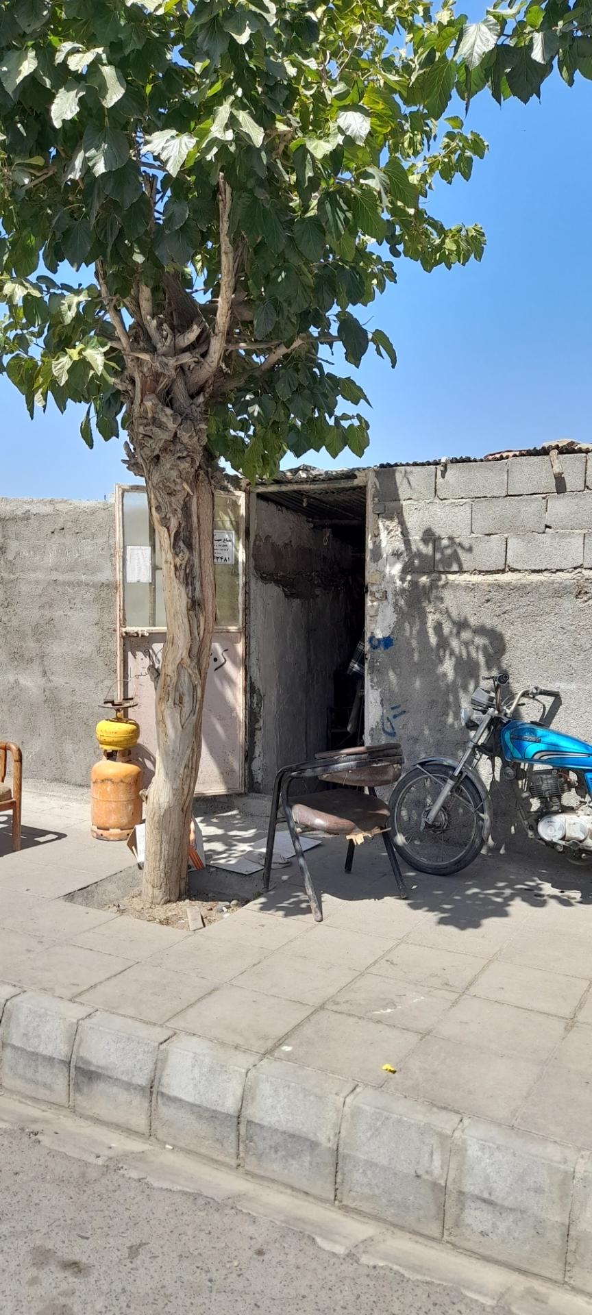 عکس پیک نیک پرکنی زارع