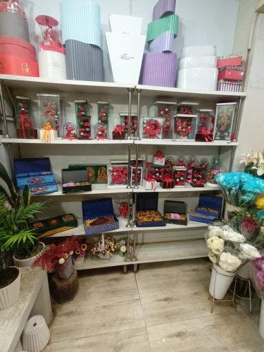 عکس مراسم یار ایرانیان