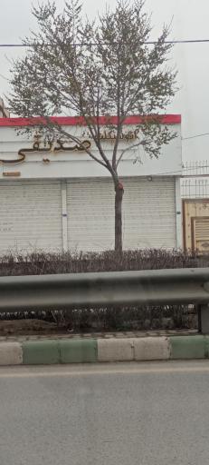 عکس اتوسیکلت صدیقی