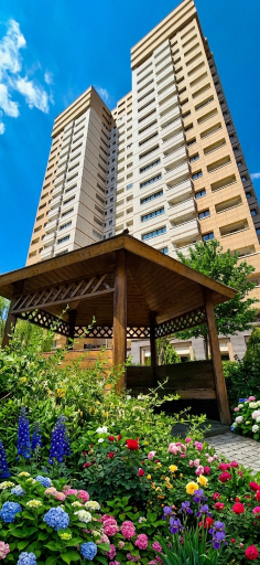 عکس برج ترنج