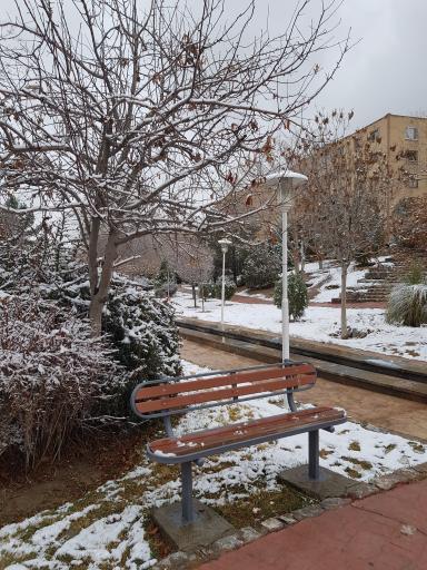 عکس مادی خونین