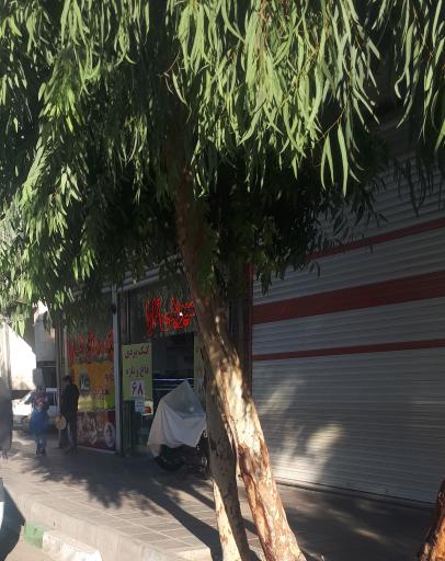 عکس شیرینی تارا