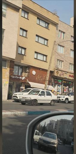 عکس گل فروشی پیونی