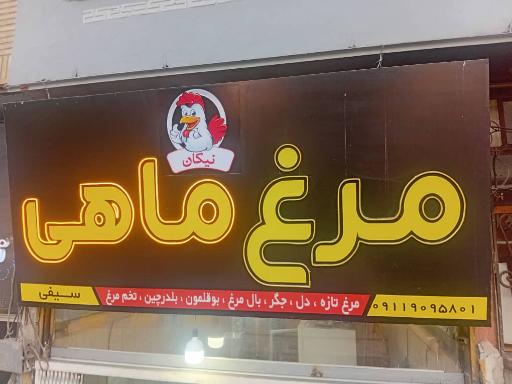 عکس مرغ و ماهی نیکان 