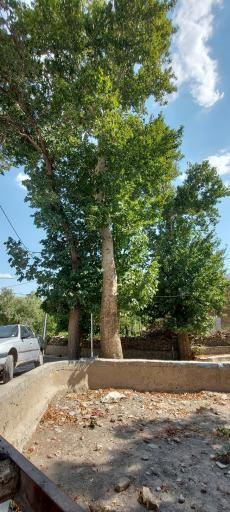 عکس استل کوهبر