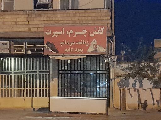 عکس کفش چرم زنانه ومردانه