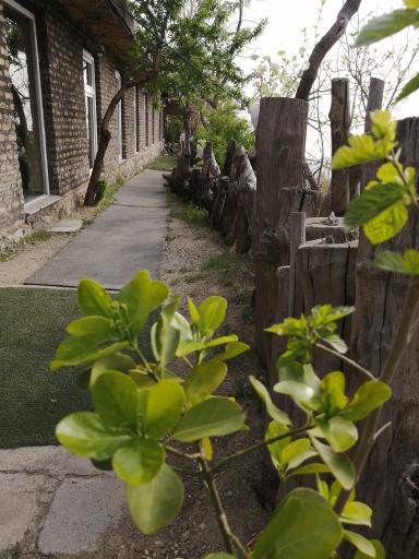 عکس کافه رستوران سنتی بام سوهانک