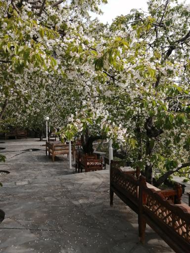 عکس کافه رستوران سنتی بام سوهانک