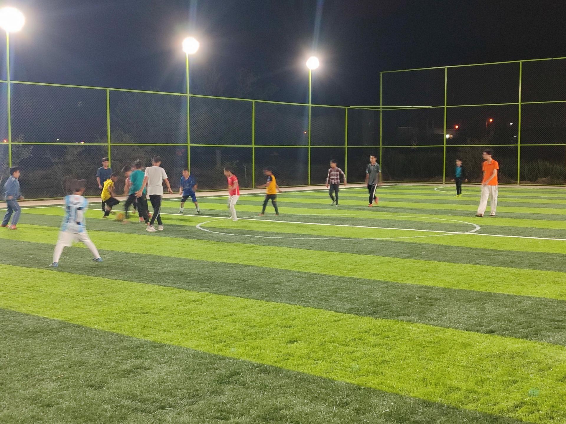 عکس چمن مصنوعی باغ آسیا