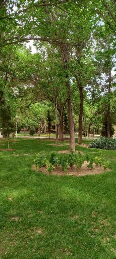 عکس بوستان غنچه