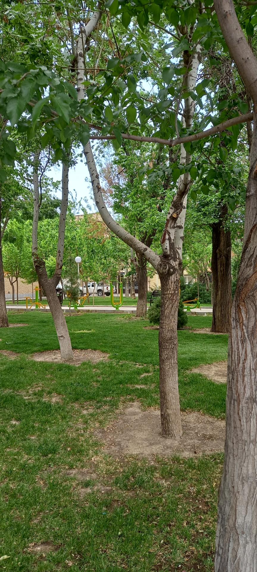 عکس بوستان غنچه