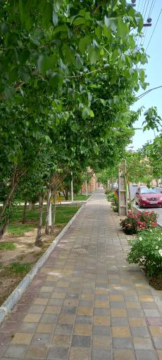 عکس بوستان غنچه