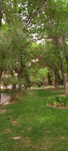 عکس بوستان غنچه