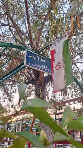 گلزار شهدای شیراز 