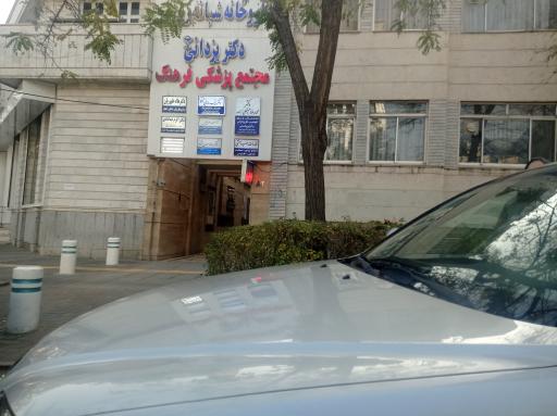 عکس دکتر سید علی قاسمی