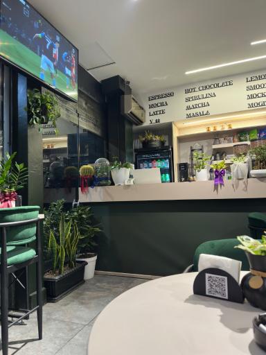 عکس دیلی کافه