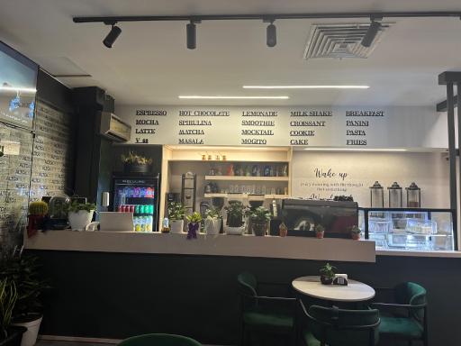 عکس دیلی کافه