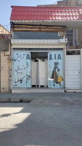 عکس آرایشگاه زنانه کاملیا